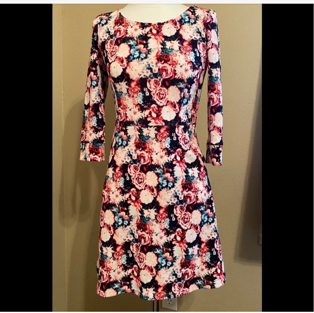 Brixon Ivy Belrose Dress XS